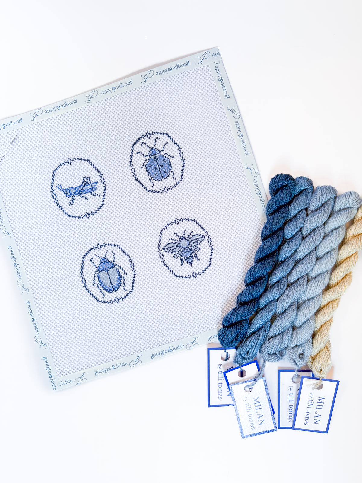 The Bug Collection Canvas