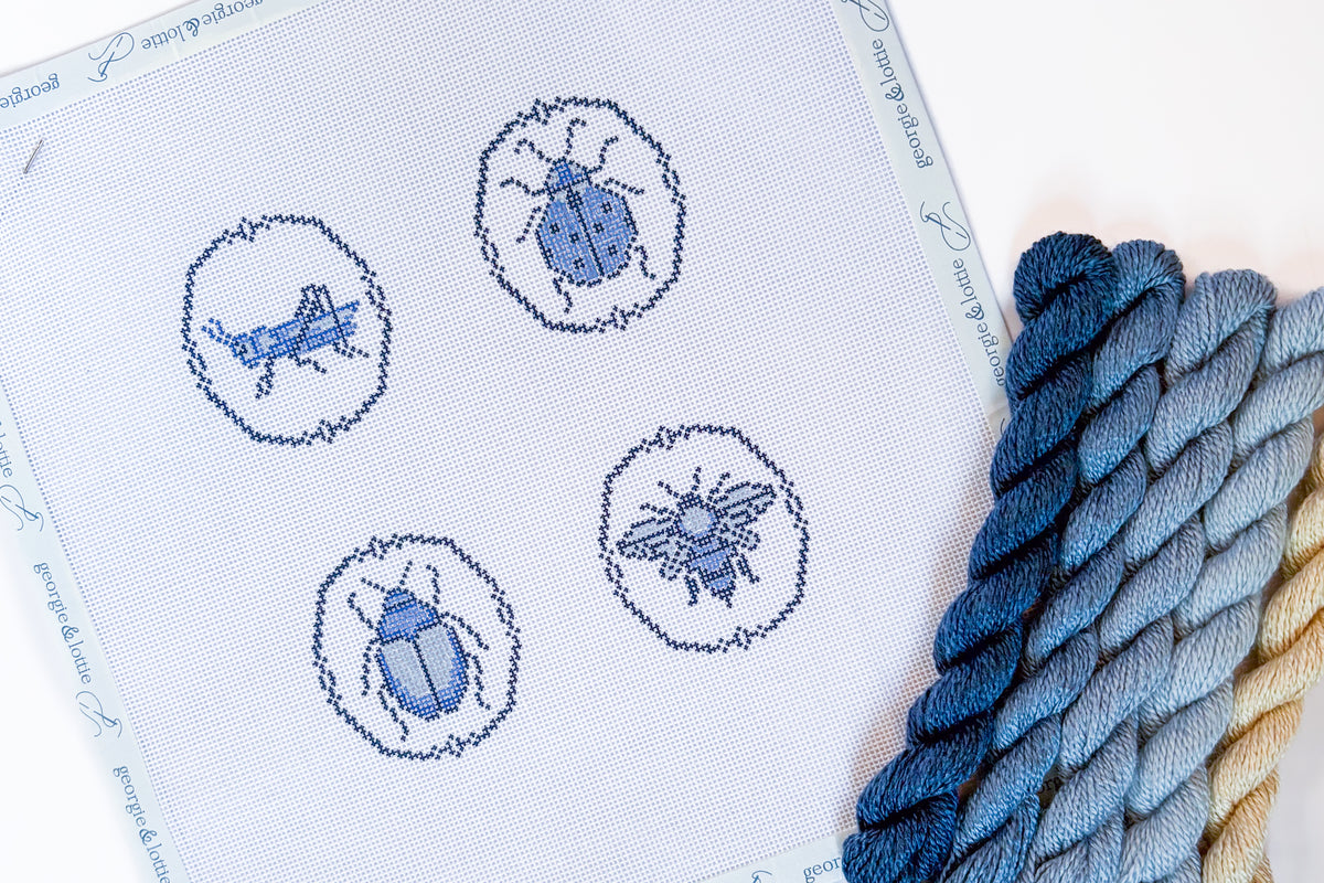 The Bug Collection Canvas