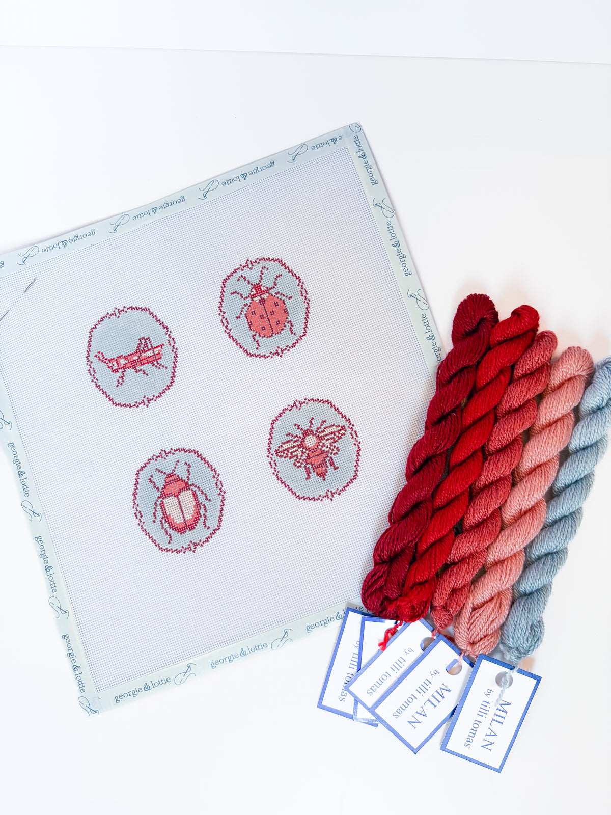 The Bug Collection Canvas