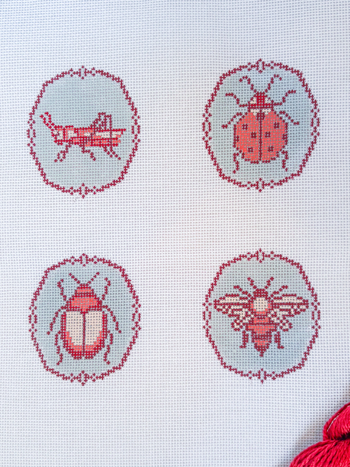 The Bug Collection Canvas