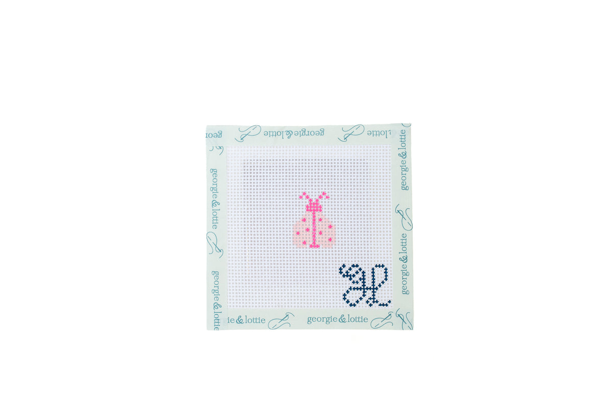 Ladybug Beginner